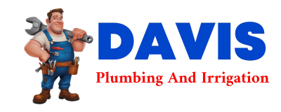 Trusted plumber in SACO